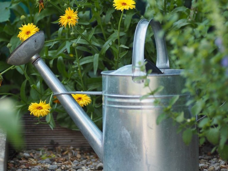 How to Make a Garden Fountain with a Flower Watering Can