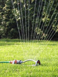 The Best Home Irrigation Systems For Watering Your Garden Plants