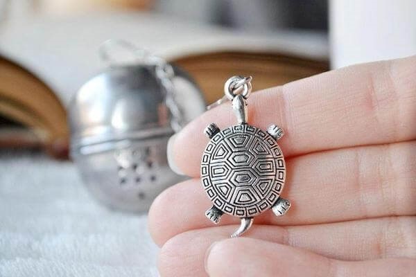 What Are the Best Turtle Gifts?