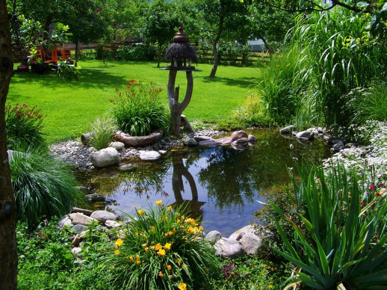 Check Out 7 Low Water Landscaping Ideas For A Beautiful And Sustainable   Check Out 7 Low Water Landscaping Ideas For A Beautiful And Sustainable Yard 768x576 