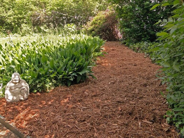 how-to-spread-mulch-like-a-professional