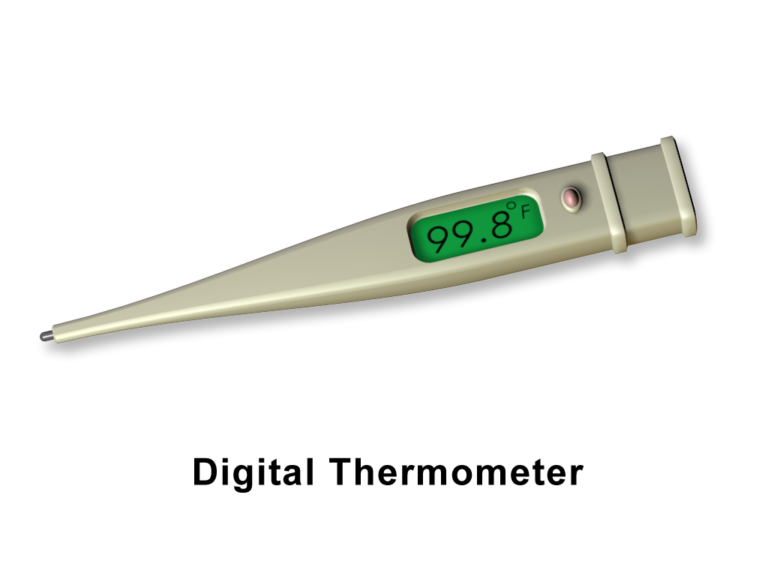 How to Use a Digital Thermometer for Cooking?